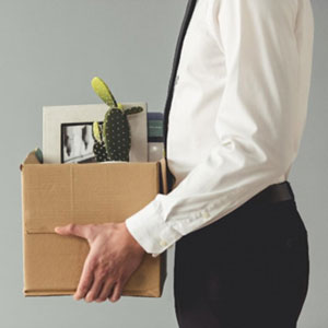 A man dressed in a suit holding a box containing a plant